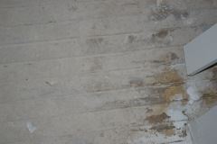 Original Bathroom Floor and Beams